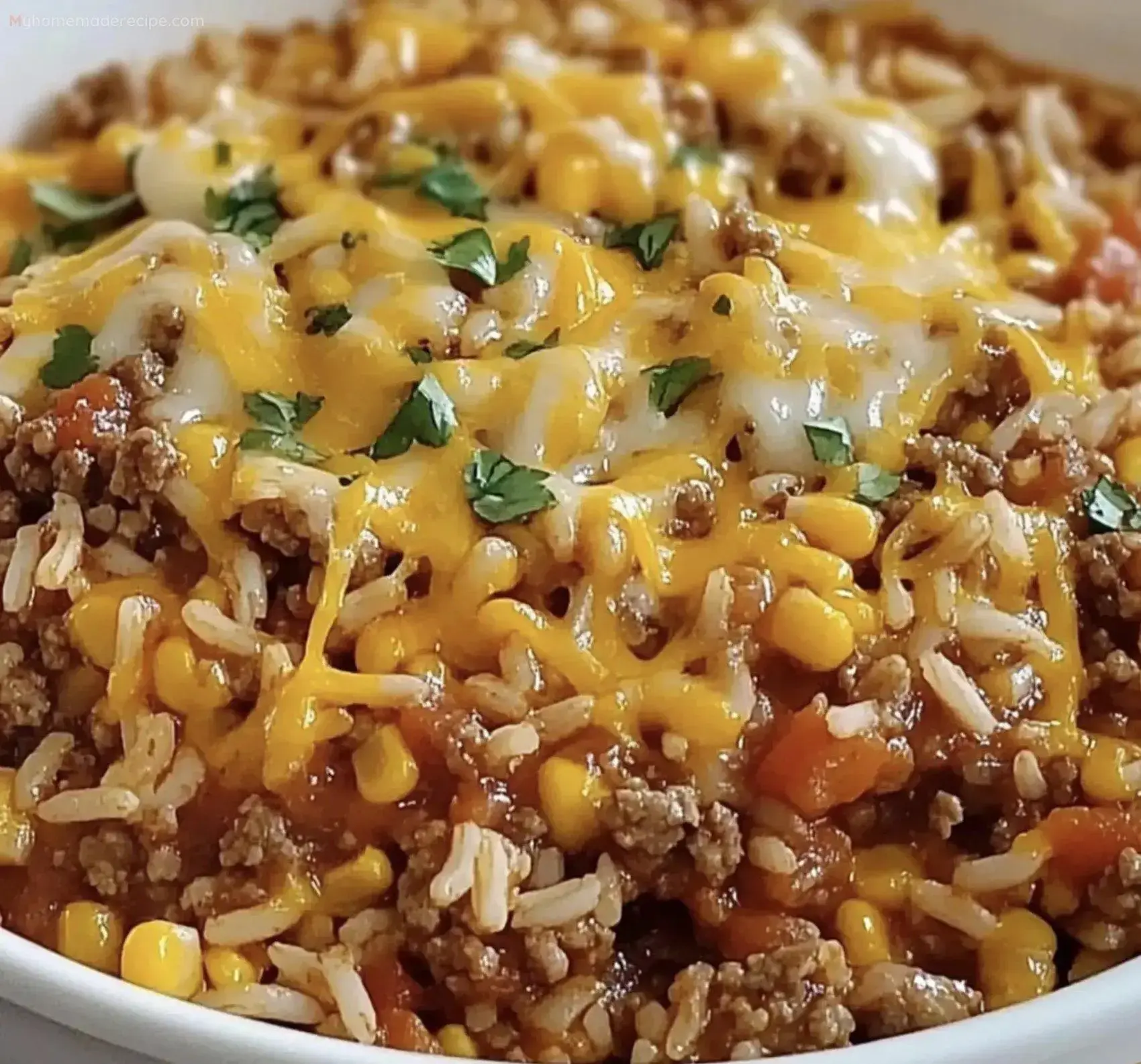 Platillo Mexicano con Arroz en Sartén